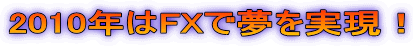 2010�N��FX�Ŗ��������I 
